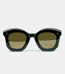  Bryceland's x Solakzade Politician Black Tortoise (Brown Lens)